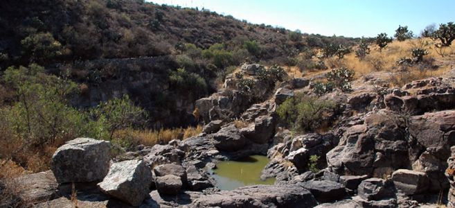 Charco Del Ingenio