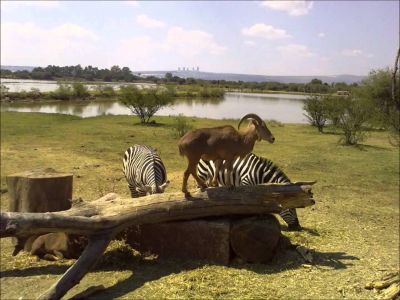 Zoo León 